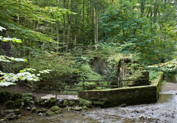 Loggerheads Country Park