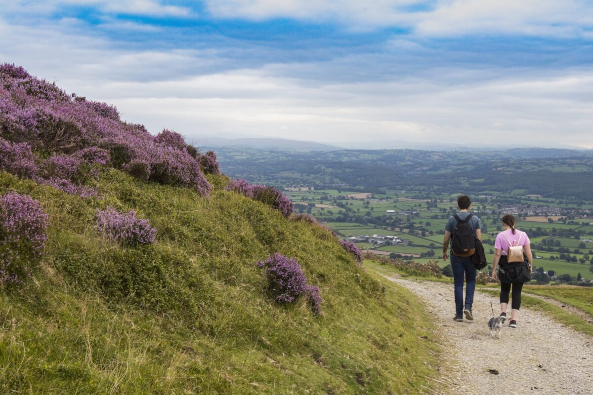 Moel Famau Country Park