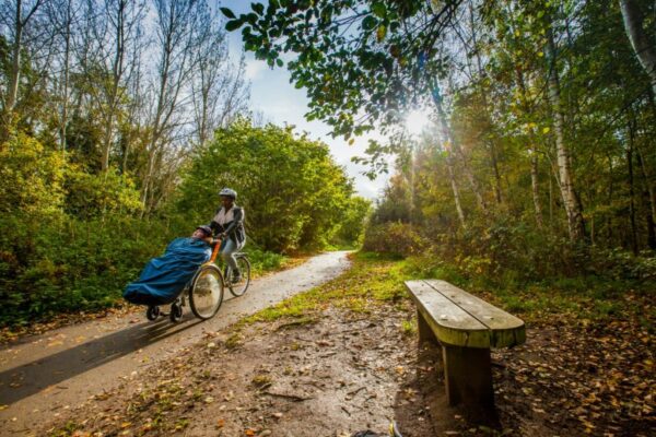 Alyn Waters Country Park