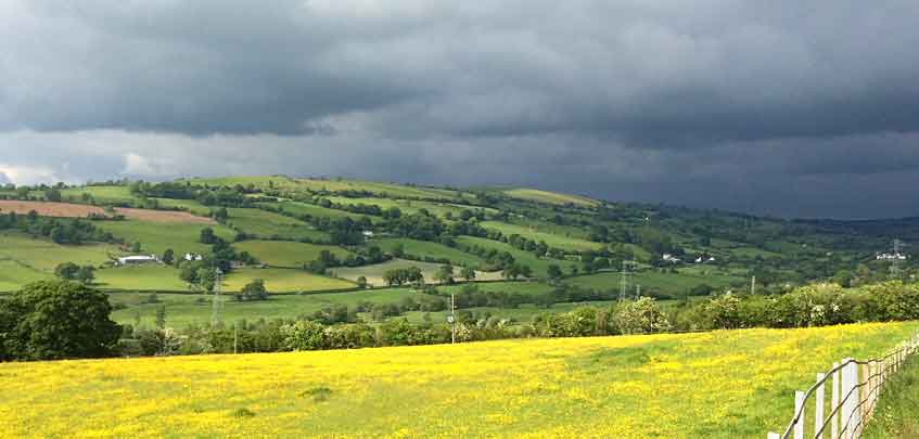 Bryneg Valley