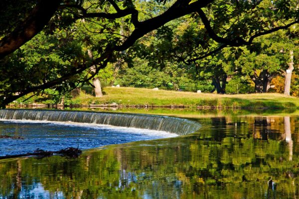 Horseshoe Falls near Llangollen