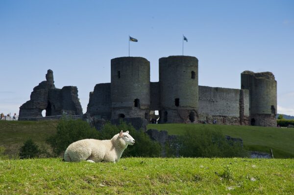 Rhuddlan Castle, Denbighshire