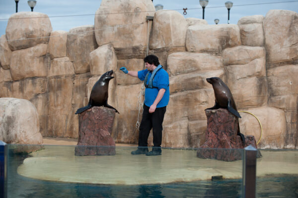 Seaquarium Rhyl