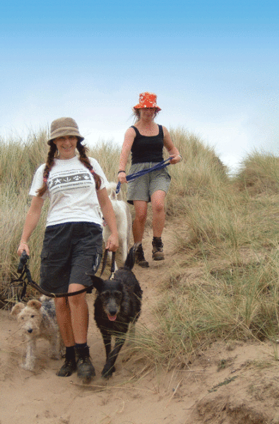 Wales Coast Path with dogs