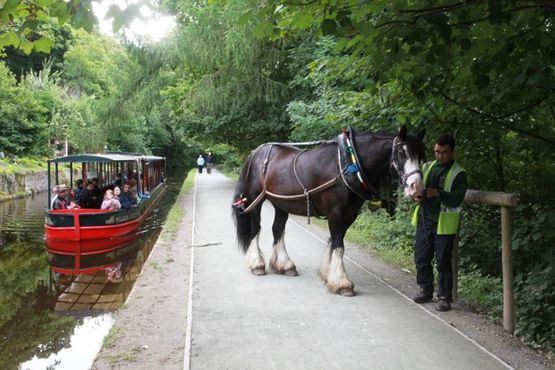 Horse Drawn Boat Company