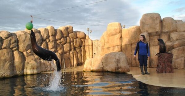 Rhyl Seaquarium