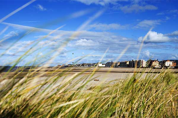 Explore the seafront